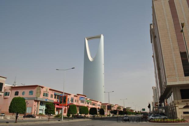 沙特阿拉伯：公共投资基金促进商业开放