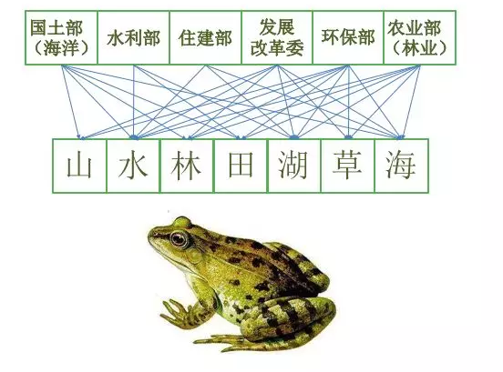 自然资源部到底是做什么的？