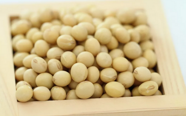 中美大豆贸易战将如何影响豆粕市场？