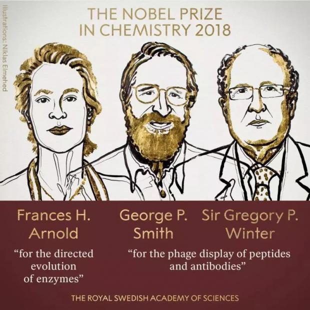 女性的胜利：“进化”的诺贝尔化学奖