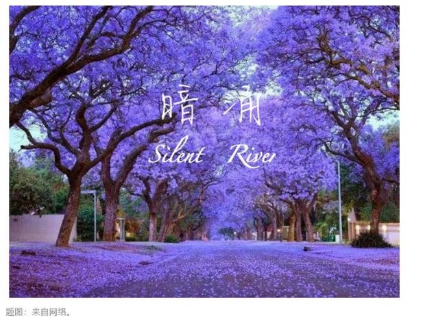暗涌｜第十八章 重返硅谷，又见蓝花楹