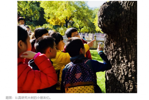 刘坚:什么才是真正有意义的教育创新?
