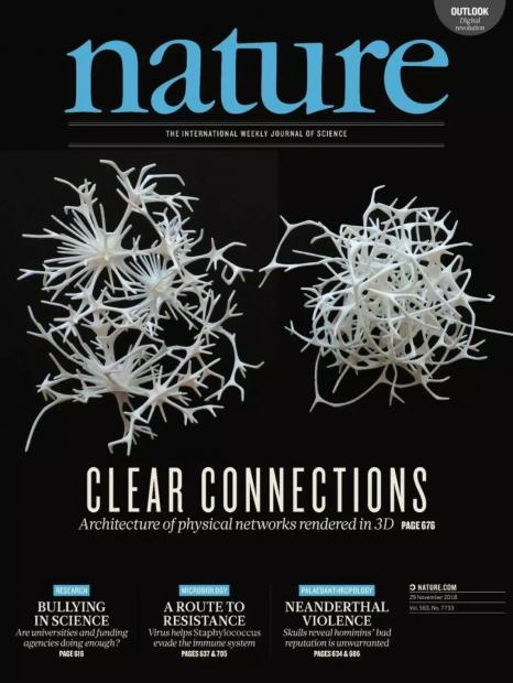 Barabási组最新Nature封面文章：复杂网络如何3D打印？