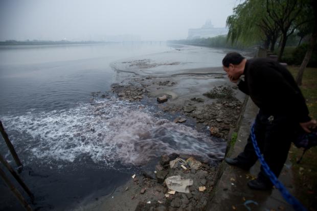 中国环境公益诉讼的新力量
