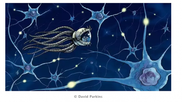 《On Intelligence》作者Jeff Hawkins首提“千脑智能理论”，破解皮层网格细胞谜题 