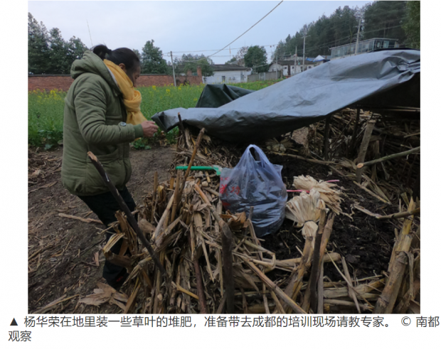地震后，北川的“妈妈农场”｜留守在家的妈妈们