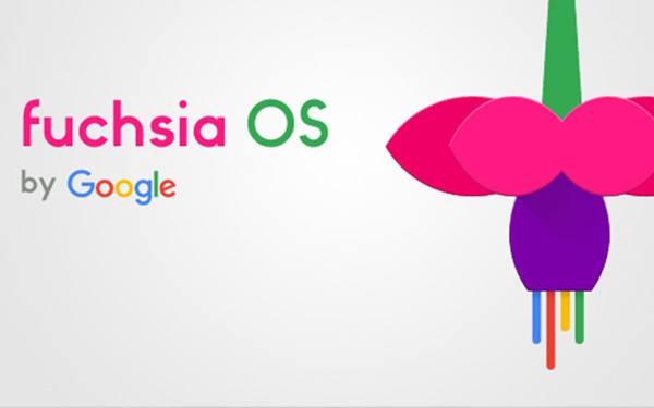 谷歌新系统Fuchsia OS官网上线，安卓将成历史？