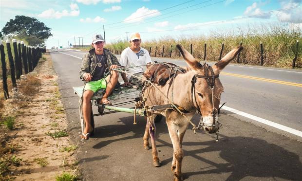 巴西宰驴禁令阻碍对华驴产品贸易