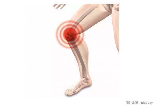 “抖腿狂魔”的春天：香港学者提出用膝盖发电 | 一周科技
