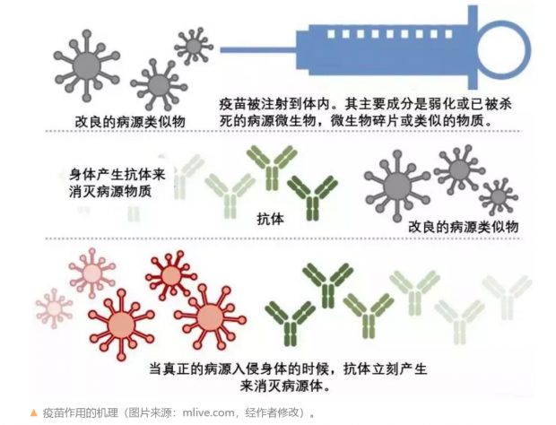 疫苗打不打？怎么打？何时打？