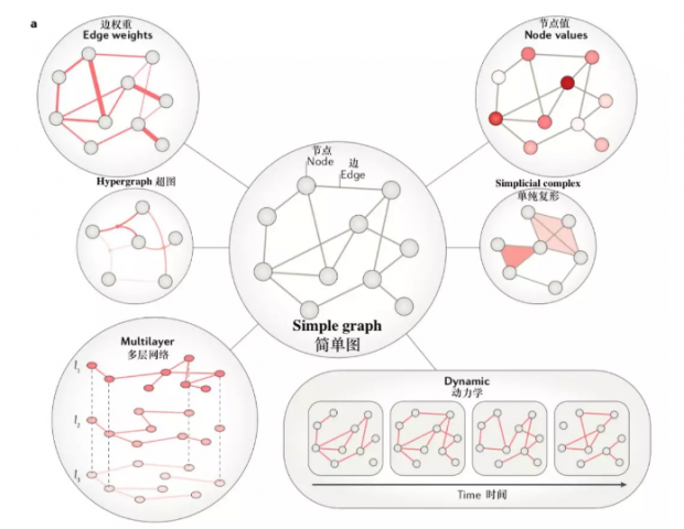网络神经科学综述：网络模型的三大维度分类图鉴