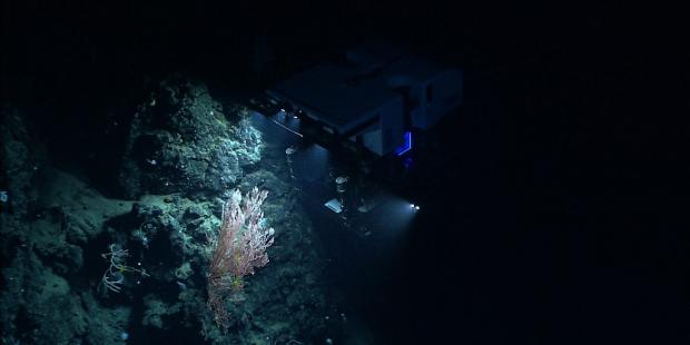 《深海采矿》博客：联合国的国际海底管理局是否真的有能力保护我们的海底？
