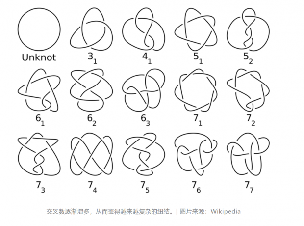 纽结：一种特殊类型的复杂性