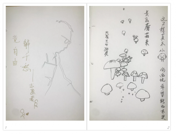 任志强:这些粉丝们的留言太精彩了!