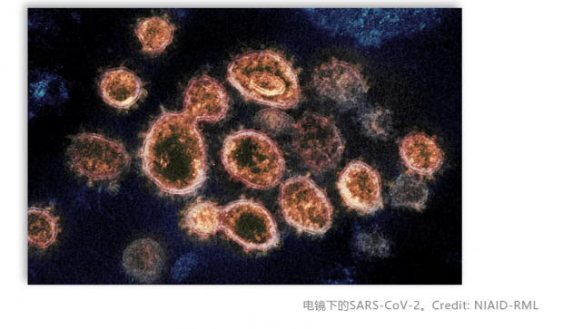 上海交大12学者：反思新冠疫情中暴露出的十大问题