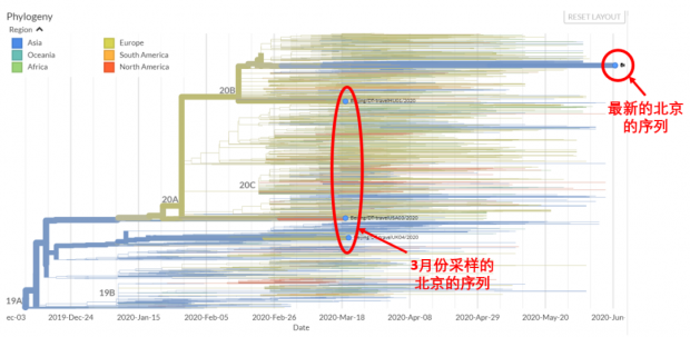 史隽疫情观察|北京新冠病毒序列公布！