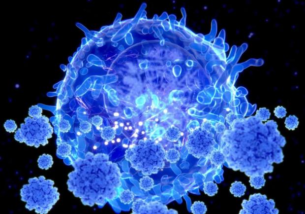 【好消息】虽未接触新冠病毒，但不少人的体内很可能已有抗体