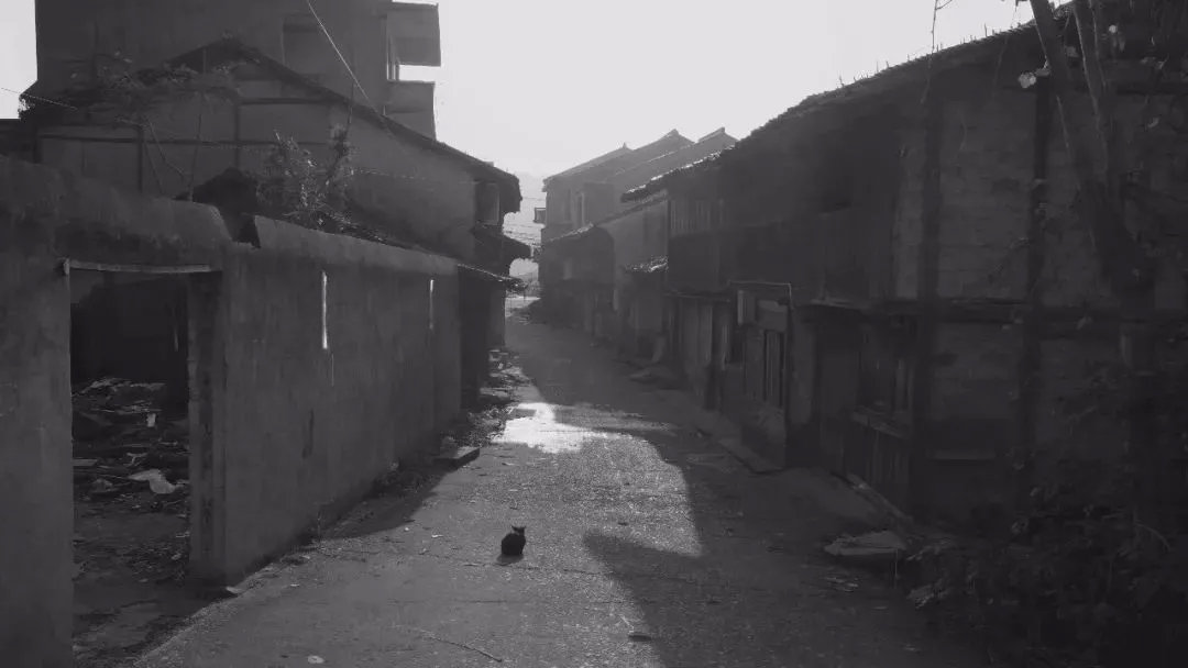 李小云:中国的乡村振兴仍是一个现代化问题