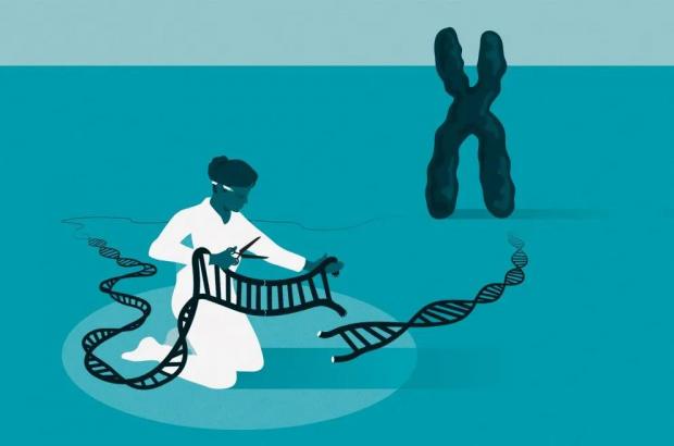 基因编辑终于等到诺贝尔化学奖！两位女科学家斩获，为何没有张峰