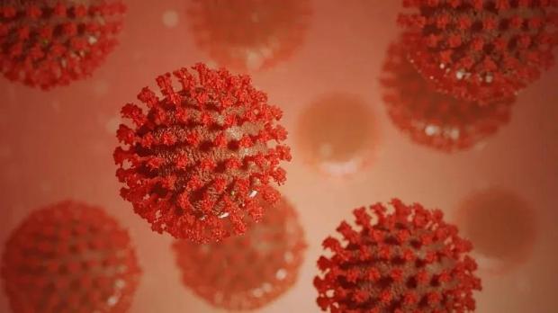 去年12月美国有无新冠病毒感染？美国疾控中心研究引发争论