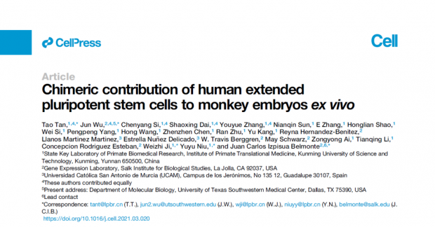 生物医学的伦理边界在哪里？中美人-猴混合胚胎研究引发争议