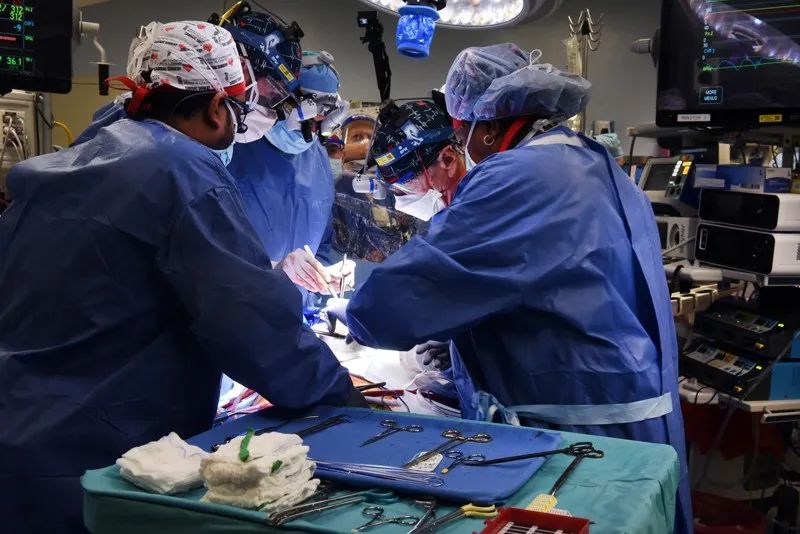 首例猪心脏移植人体手术带来的科学启示