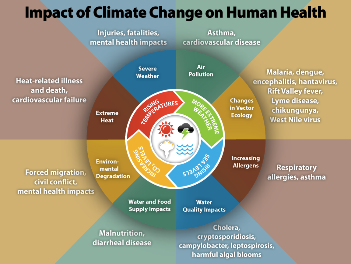 健康是气候应对行动的核心推力之一：加州大学的经验