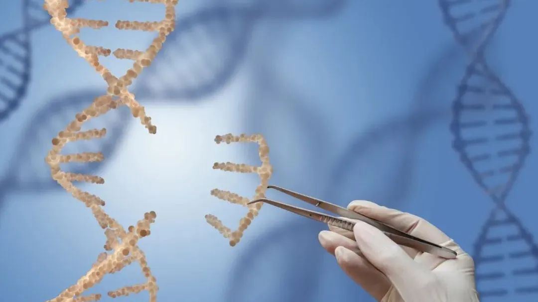 新药申请被暂停，基因编辑疗法走向临床还有哪些挑战？