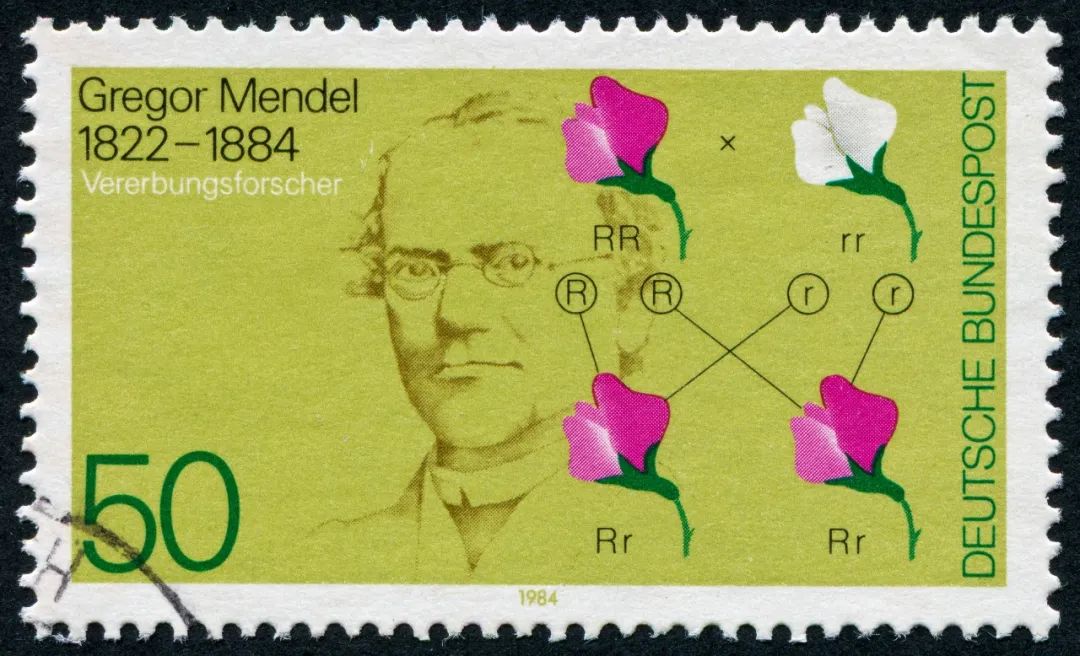 孟德尔诞辰200周年：今天我们为何纪念这位科学巨人？