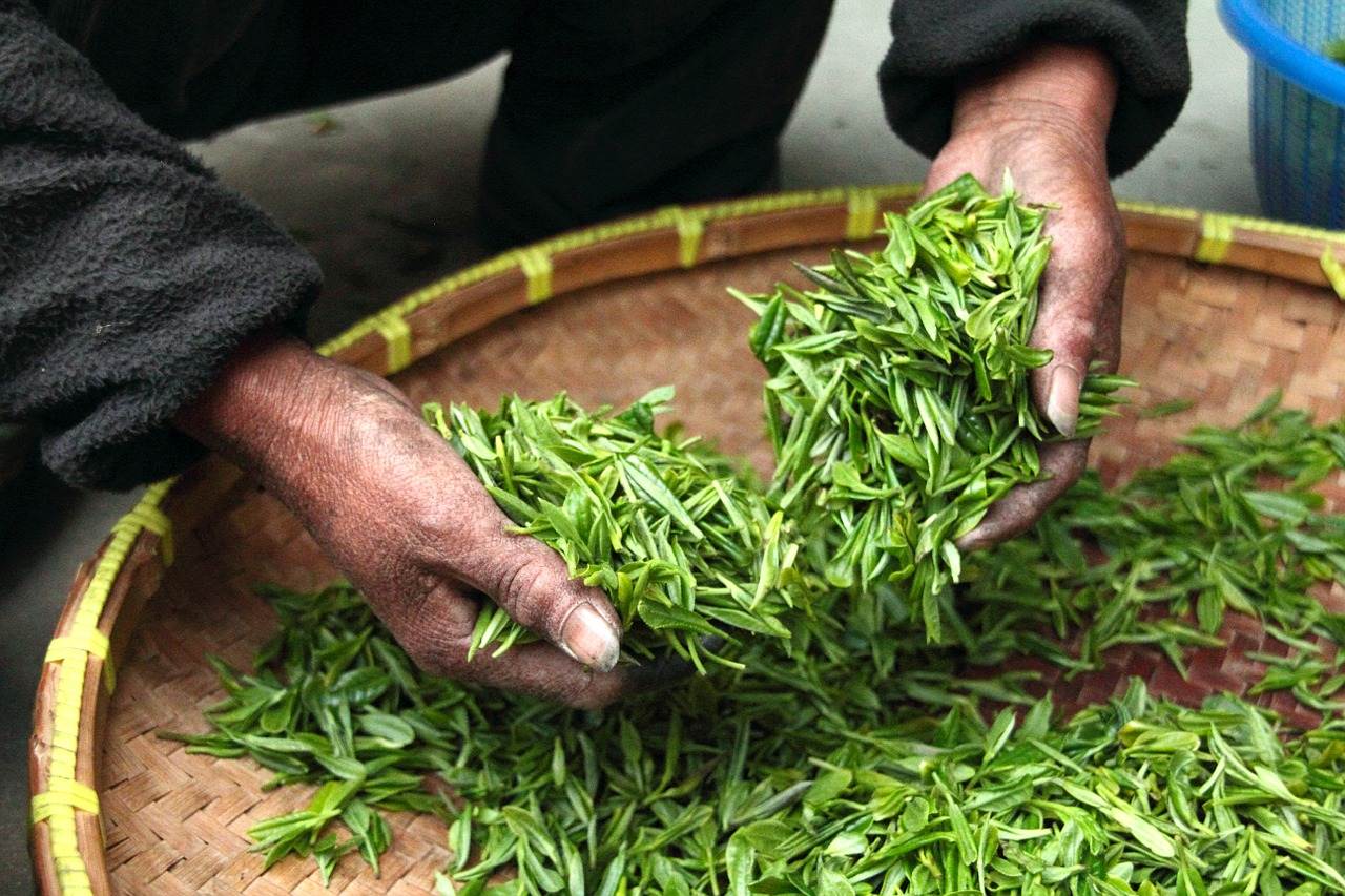 奈雪的茶上市首日就破发，刚刚融资数亿的袋泡茶茶里能被看好吗？