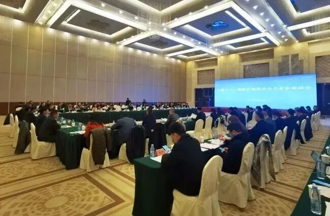 图片为合肥市与上海新沪商联合会企业家座谈会现场。会场内布置有绿色桌布的长桌，桌上有水瓶等物品，多人围坐。背景大屏幕上显示“合肥市与上海新沪商联合会企业家座谈会”字样。会场顶部有方形灯带装饰，地面铺有花纹地毯。该图片与上下文紧密相关，直观呈现了合肥市与上海新沪商联合会企业家座谈会的场景，体现了合肥在招商引资方面的活动情况。