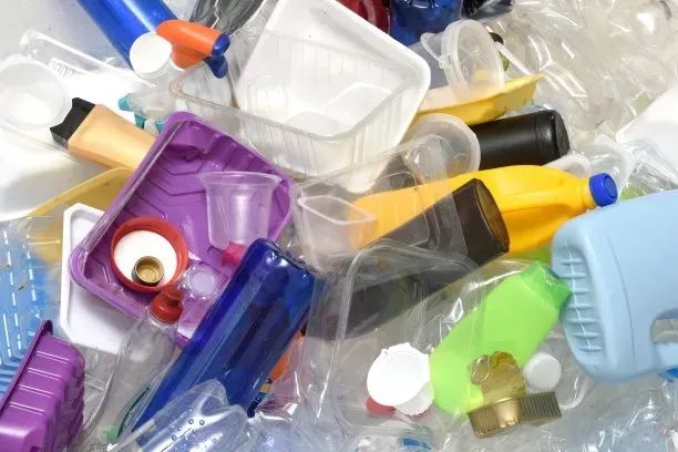 塑料污染已成流行病，科学家问计海洋微生物｜世界海洋日