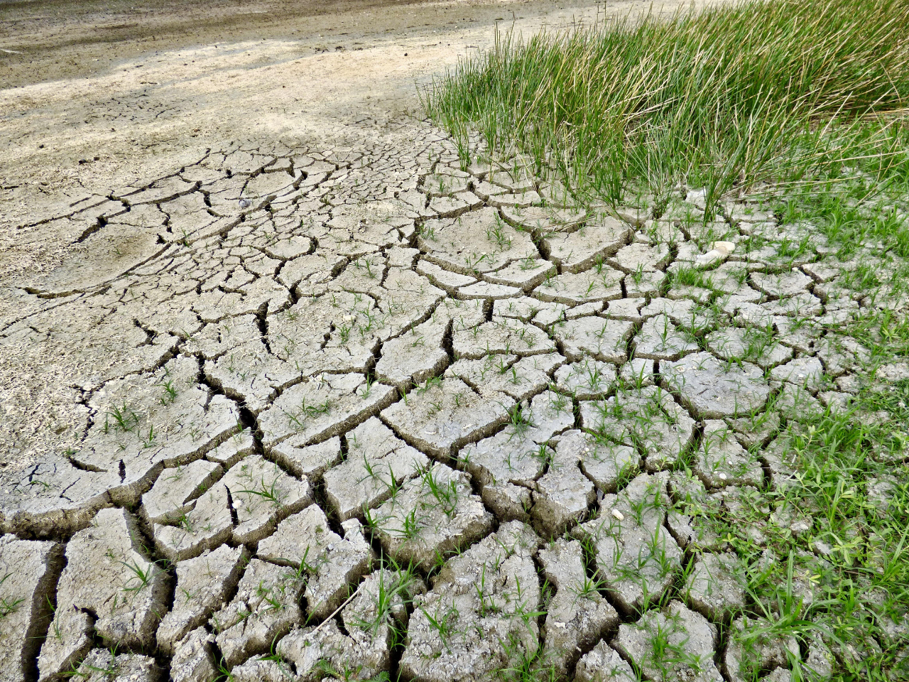 遭遇500年来最严重干旱，欧洲供电系统如何应对？