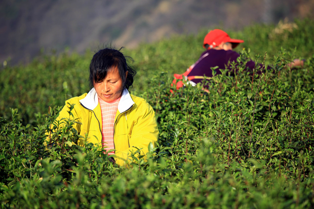 农大调查:留守农村的"注定"是女性?-南都观察-财新博客-新世纪的常识